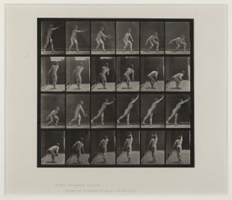 Throwing an iron disk, Animal Locomotion, Plate #307