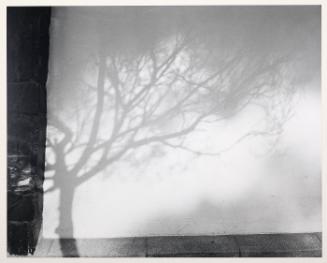 Paisaje Inventado (from "Fifteen Photographs by Manuel Alvarez Bravo")