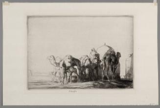 Camel Caravan