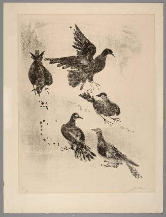 Pigeons