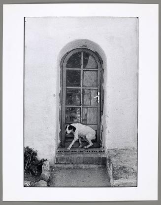 Untitled (from "Son of Bitch")