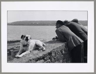 Untitled (from "Son of Bitch")