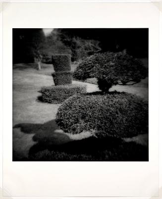 Hever Castle #1
