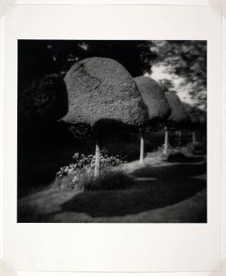 Hever Castle #2