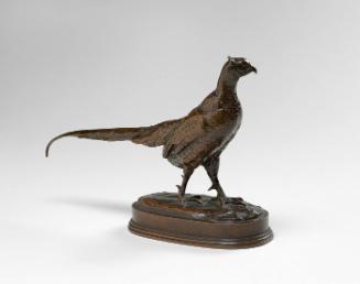 Faisan (Pheasant)