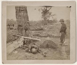 A contrast, Federal buried; Confederate unburied; where they fell on battlefield of Antietam, September 1862