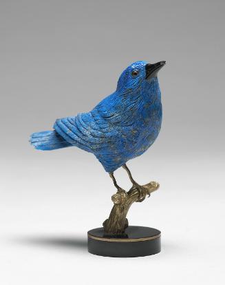 Mountain Bluebird