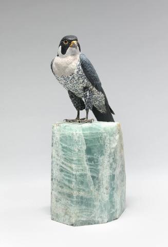 Falcon