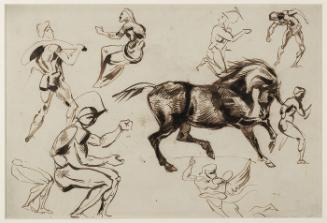 Sheet of studies