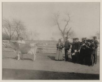 Agriculture: Judging a Dairy Cow