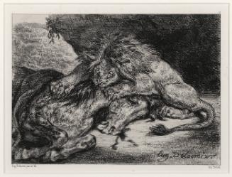 Lion devourant un cheval