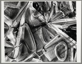 © The Brett Weston Archive