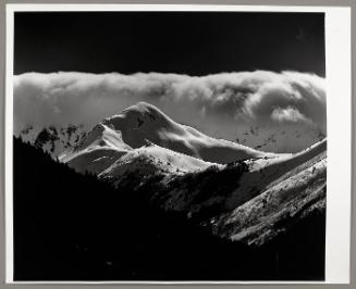 © The Brett Weston Archive