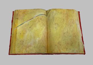 Book and Mirror