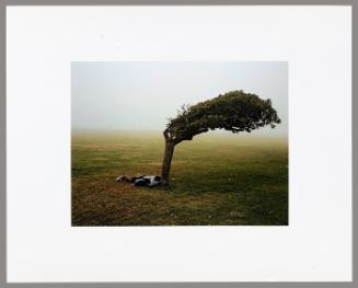 Green Point Common, Cape Town (from "Kin")
