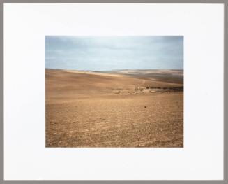 Sheep farm on the road to Caledon (from "Kin")