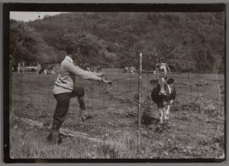 © Donna Mussenden Van Der Zee 