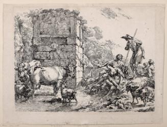 The Cow, Drinking