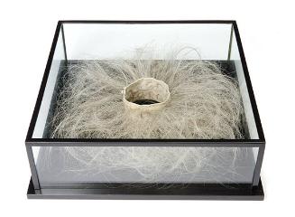Untitled (Hair Collar)