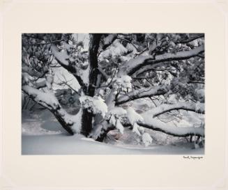 Jupiter in Snow, New Mexico (from "Color Nature Landscapes I")