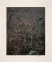 © 1990 Amon Carter Museum, Fort Worth, Texas