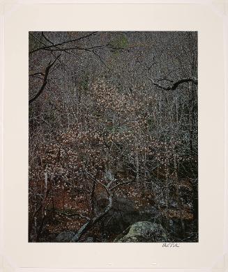 © 1990 Amon Carter Museum, Fort Worth, Texas