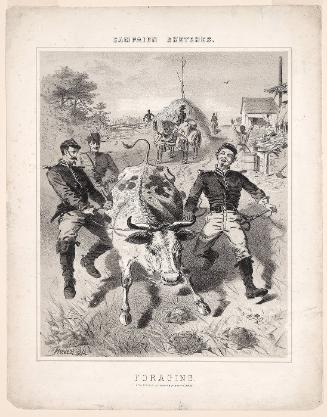 Foraging (from "Campagne Sketches")