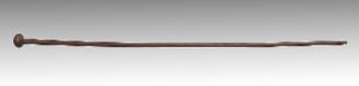 Walking stick (?)