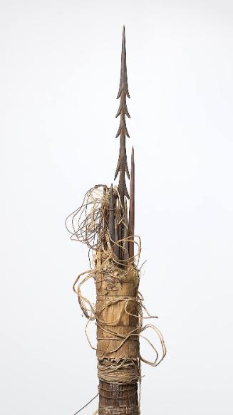Quiver for poisoned arrows