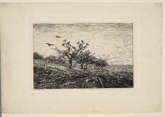 L'Arbre aux corbeaux