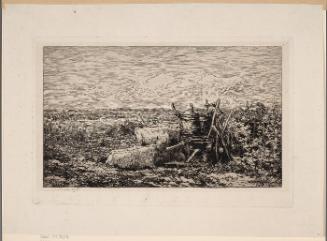 Les vendanges