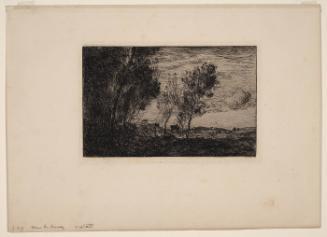 Dans les dunes, souvenir du bois de LaHaye