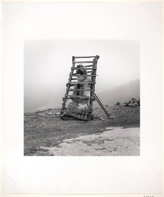 Buddha in Cage, Wutai Mountain, Shanxi Province, (from "The Chinese")