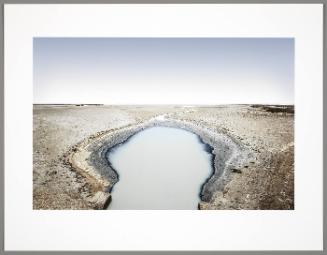 Salt Flat Pool, Camargue Pond, France