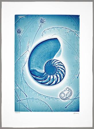 Nautilus
