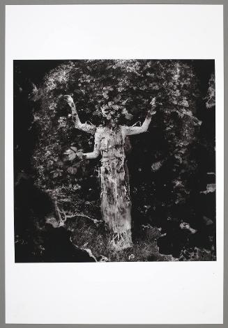 Mystery (MisTree), from the series, The MisNomer Pageant