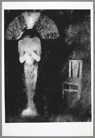 Misillumination (or MisLit), from the series, The MisNomer Pageant