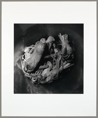 Body Parts in an Autopsy Room, Beijing, (from "The Chinese")