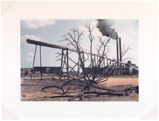 Sawmill at the Greenboro Lumber Co., Greensboro, Georgia