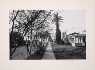 Street Scene, Trees and Houses, Hollywood, California