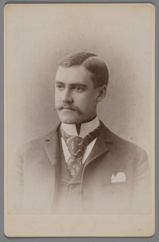 Portrait of a gentleman
