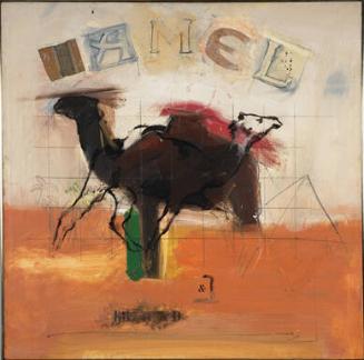Amel-Camel