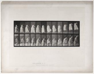 Animal Locomotion, Plate #457