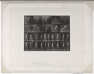 Animal Locomotion, Plate #519