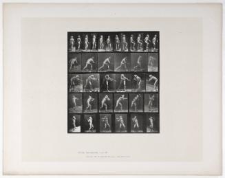 Animal Locomotion, Plate #521