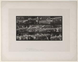 Animal Locomotion, Plate #780