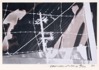 Untitled from the Bleacher Series (from "The Indomitable Spirit Portfolio")