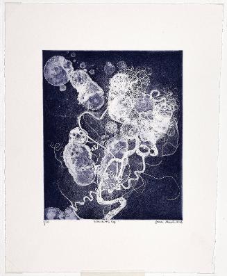 Brainscape 24