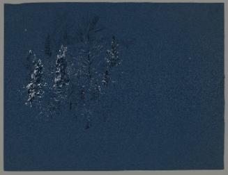 Tree Study on Blue Paper