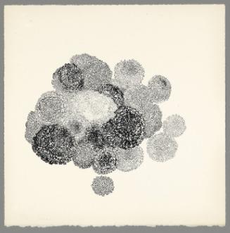 Untitled (TAM.1483, Marigolds, from the Portfolio "Flowers")